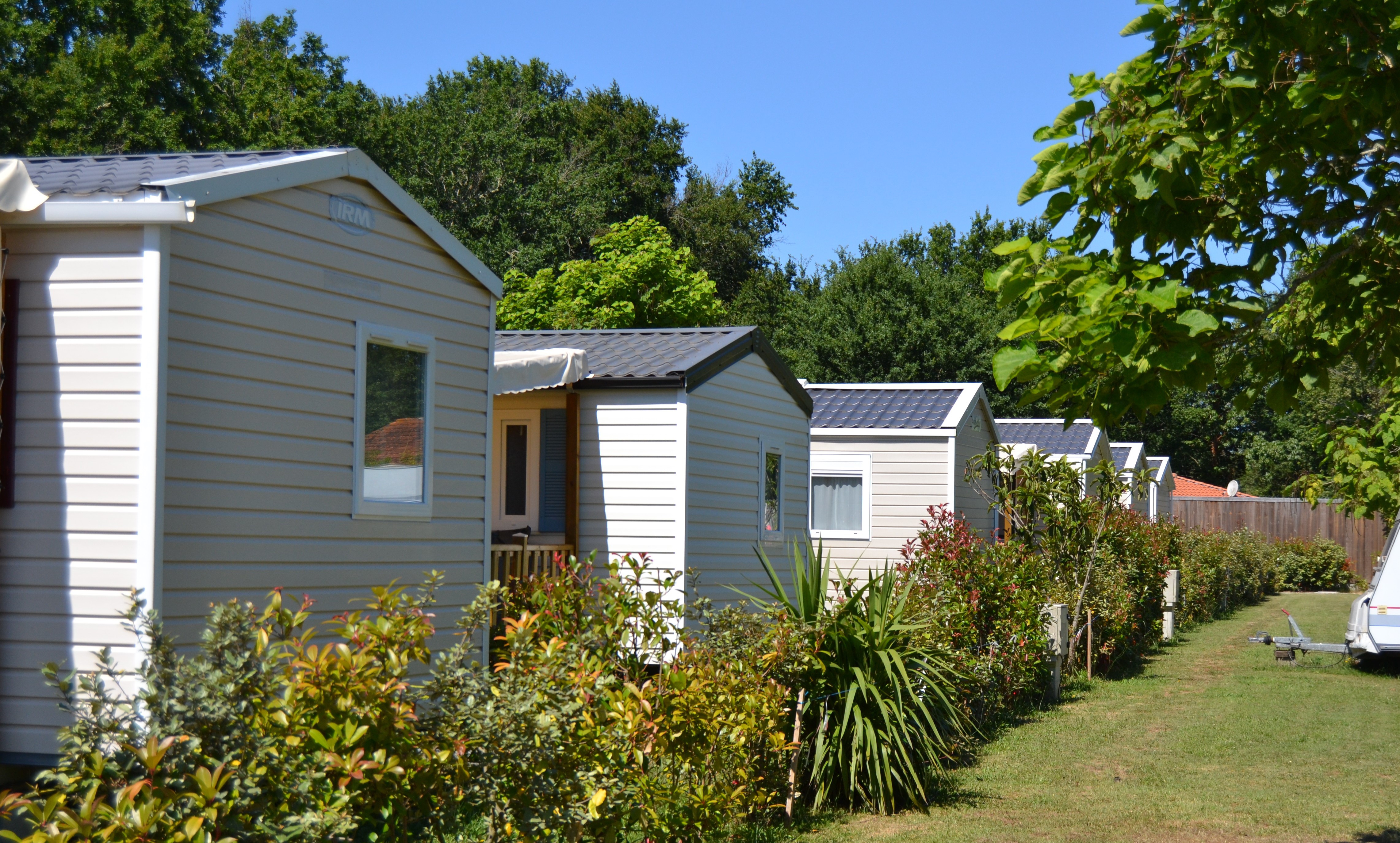 cover image 2